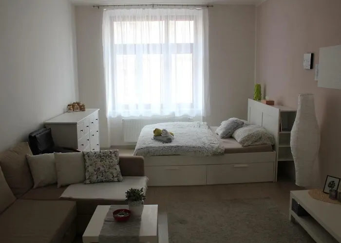 Kavi #2 * Плзень